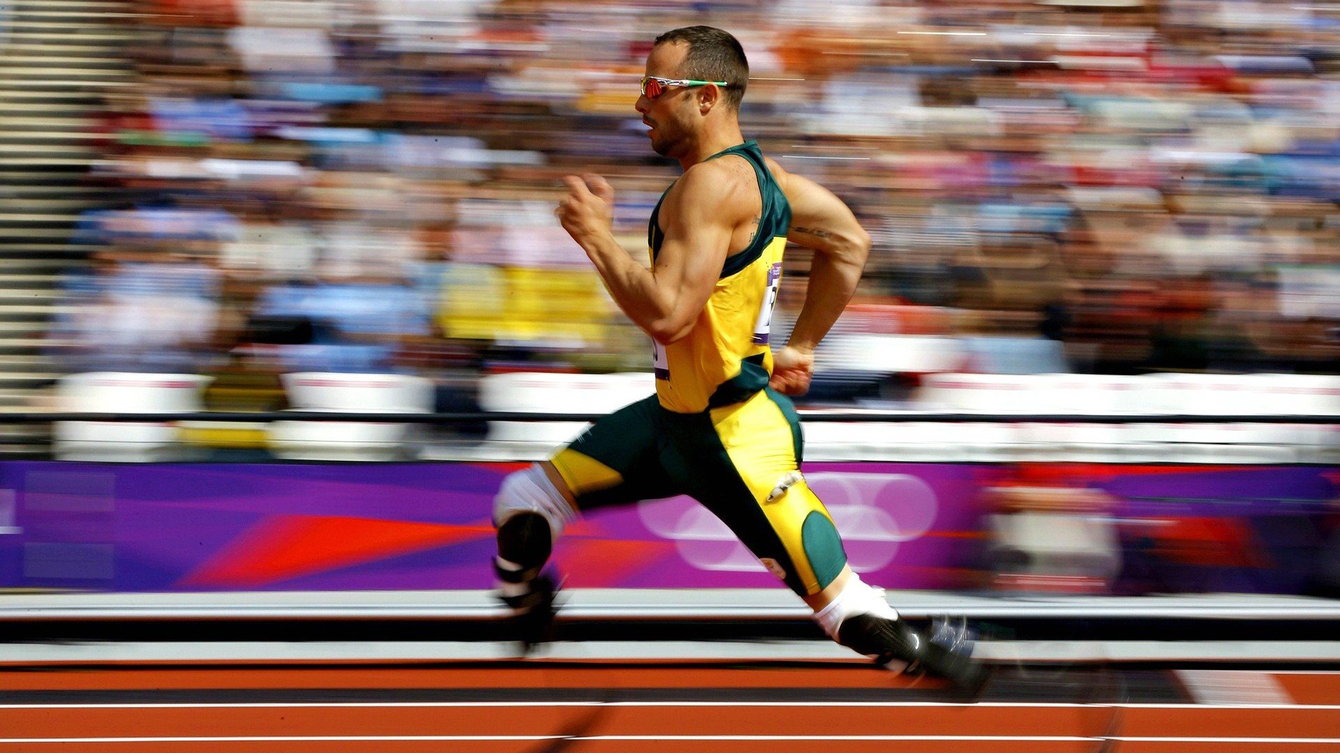 德甲球场基础设施升级对观众满意度影响,德甲的球场