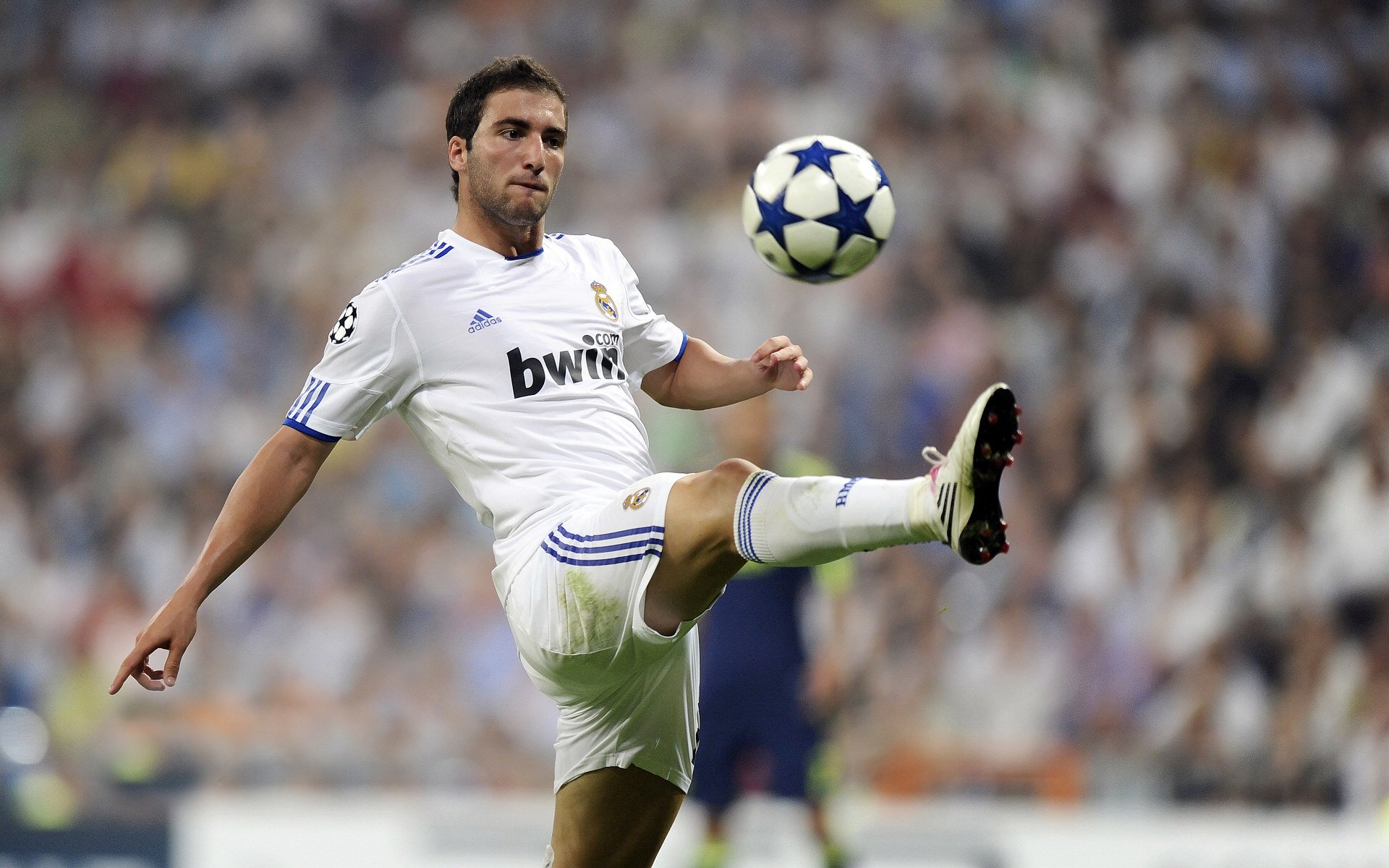 体育赛事观众服务创新,体育赛事服务标准